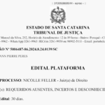 EDITAL – USUCAPIÃO No 5006487-86.2024.8.24.0139/SC 